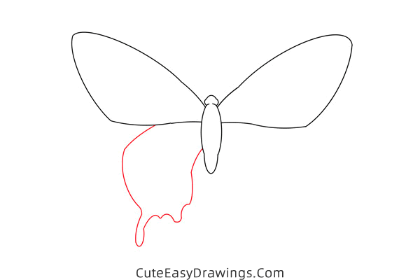 how to draw a butterfly - www.cuteeasydrawings.com