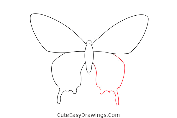 how to draw a butterfly - www.cuteeasydrawings.com