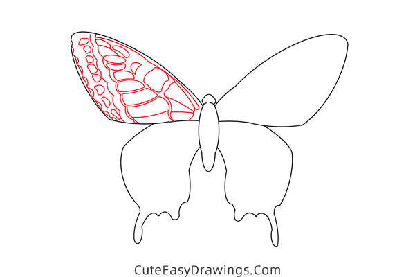 how to draw a butterfly - www.cuteeasydrawings.com