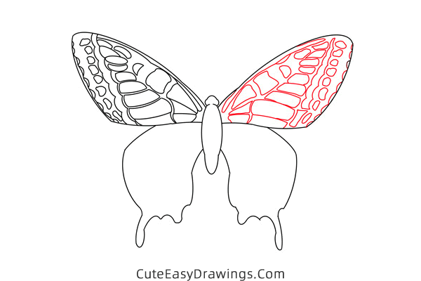 how to draw a butterfly - www.cuteeasydrawings.com