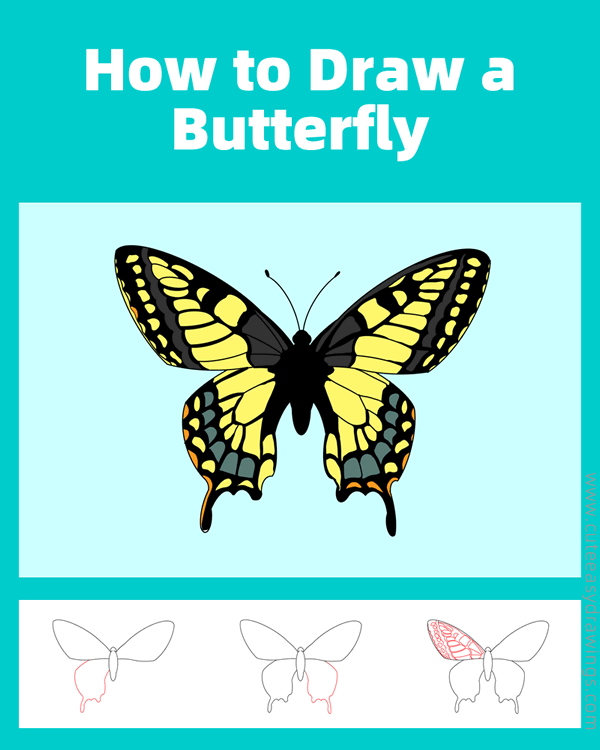 how to draw a butterfly - www.cuteeasydrawings.com