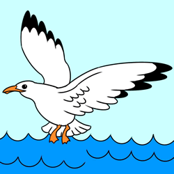 How to Draw a Seagull Flying Step by Step