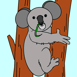 How to Draw a Koala on a Tree Step by Step