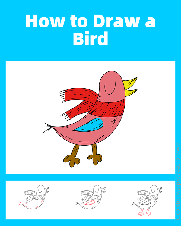 how to draw a bird in winter - www.cuteeasydrawings.com