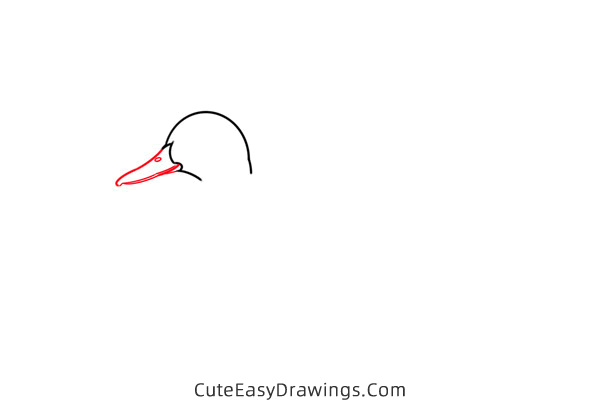 how to draw a mallard duck - www.cuteeasydrawings.com