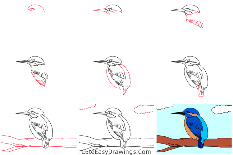 how to draw a kingfisher - www.cuteeasydrawings.com