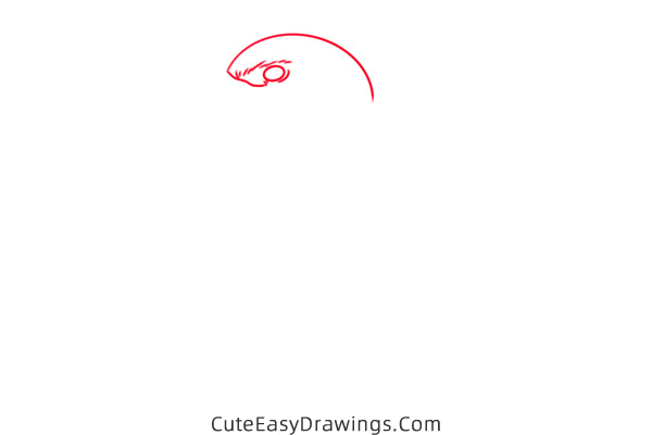 how to draw a kingfisher - www.cuteeasydrawings.com