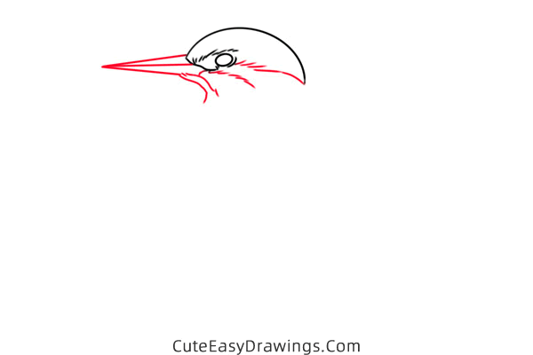 how to draw a kingfisher - www.cuteeasydrawings.com