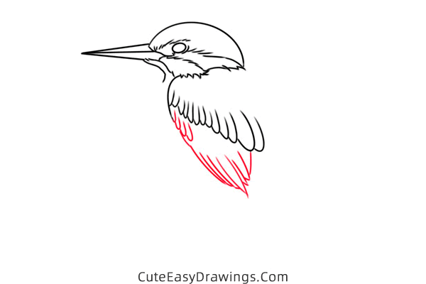 how to draw a kingfisher - www.cuteeasydrawings.com