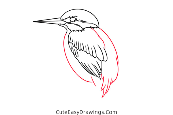 how to draw a kingfisher - www.cuteeasydrawings.com