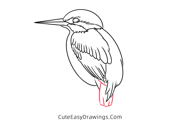 how to draw a kingfisher - www.cuteeasydrawings.com