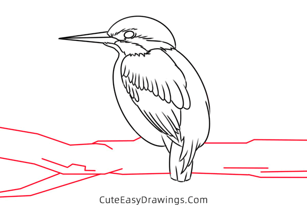 how to draw a kingfisher - www.cuteeasydrawings.com