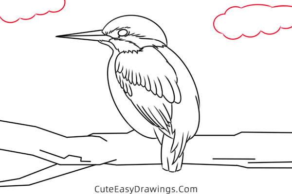 how to draw a kingfisher - www.cuteeasydrawings.com