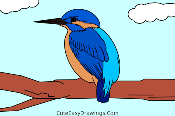 how to draw a kingfisher - www.cuteeasydrawings.com