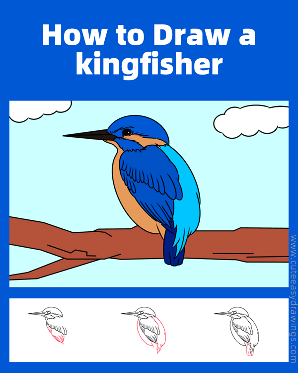 how to draw a kingfisher - www.cuteeasydrawings.com