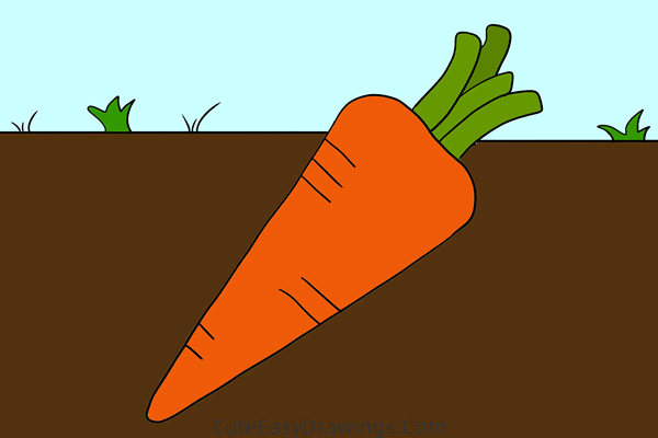 how to draw a carrot easy - www.cuteeasydrawings.com