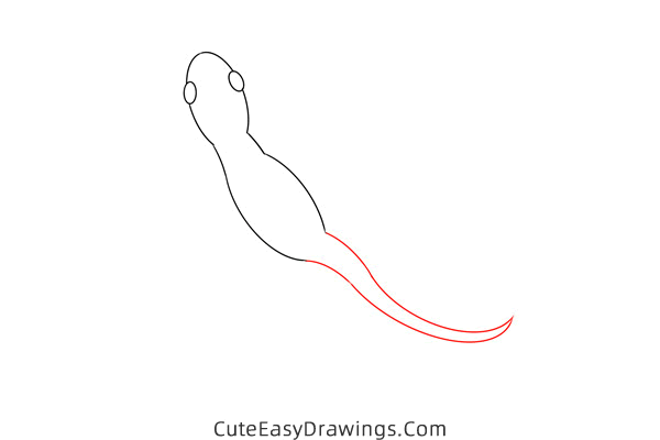 how to draw a gecko - www.cuteeasydrawings.com