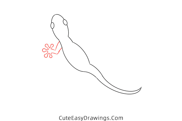 how to draw a gecko - www.cuteeasydrawings.com