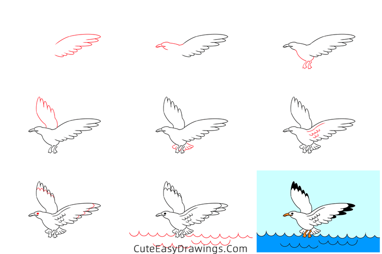 how to draw a seagull flying - www.cuteeasydrawings.com