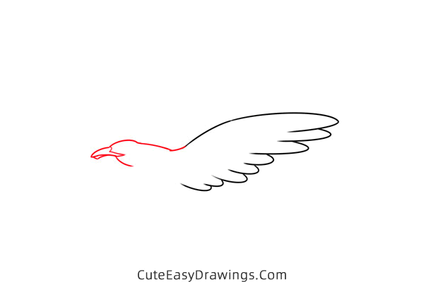 how to draw a seagull flying - www.cuteeasydrawings.com