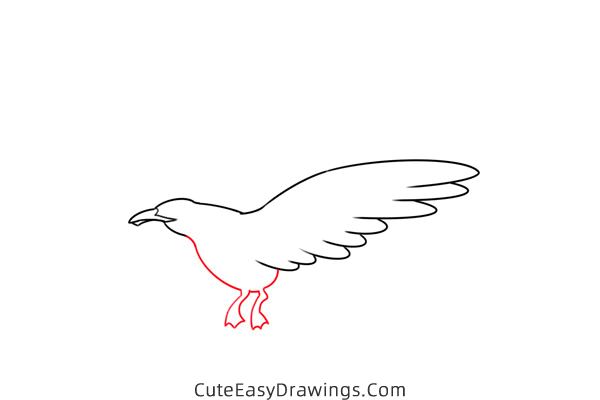 how to draw a seagull flying - www.cuteeasydrawings.com