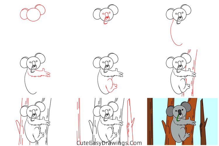 how to draw a koala on a tree - www.cuteeasydrawings.com