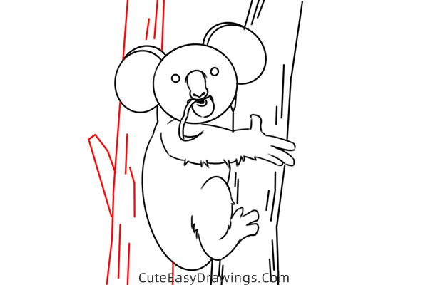 how to draw a koala on a tree - www.cuteeasydrawings.com