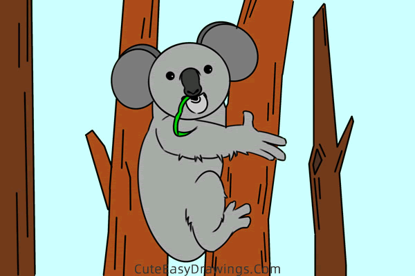 how to draw a koala on a tree - www.cuteeasydrawings.com