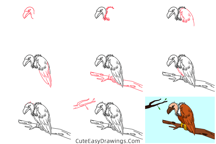 how to draw a vulture - www.cuteeasydrawings.com