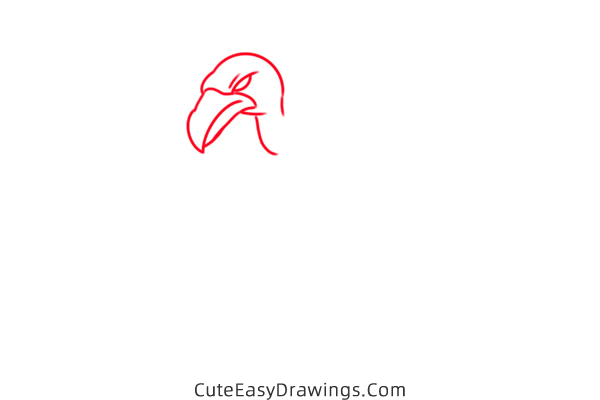 how to draw a vulture - www.cuteeasydrawings.com