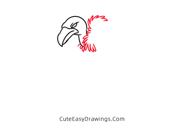 how to draw a vulture - www.cuteeasydrawings.com