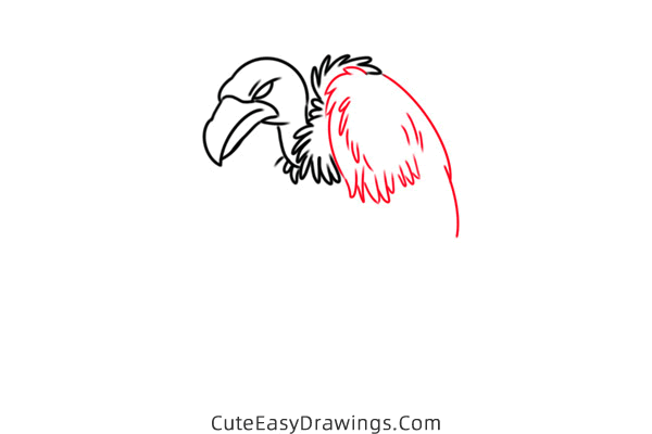 how to draw a vulture - www.cuteeasydrawings.com