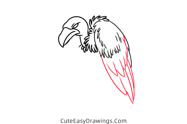 how to draw a vulture - www.cuteeasydrawings.com