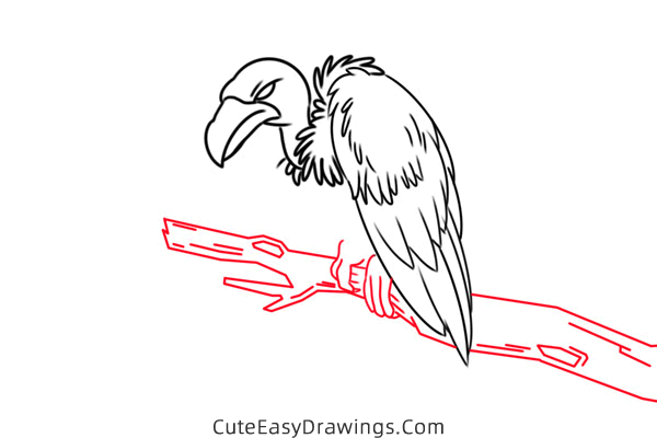 how to draw a vulture - www.cuteeasydrawings.com