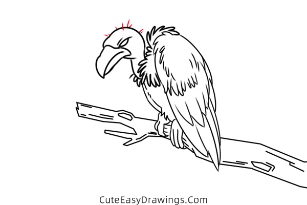 how to draw a vulture - www.cuteeasydrawings.com