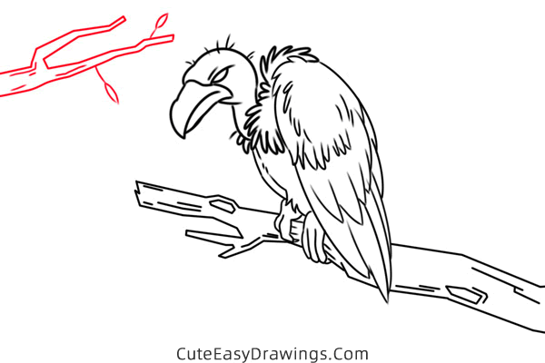 how to draw a vulture - www.cuteeasydrawings.com