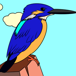 How to Draw a Kingfisher Easy Step by Step