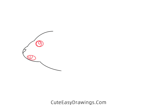 how to draw a meadow vole - www.cuteeasydrawings.com