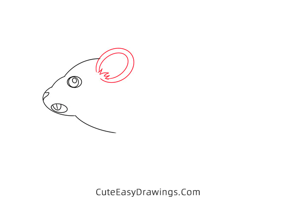 how to draw a meadow vole - www.cuteeasydrawings.com