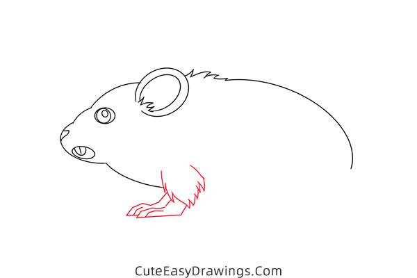 how to draw a meadow vole - www.cuteeasydrawings.com