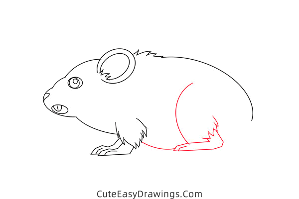 how to draw a meadow vole - www.cuteeasydrawings.com