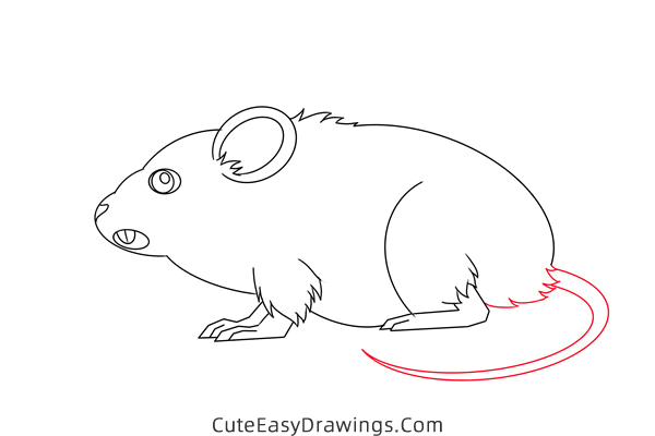 how to draw a meadow vole - www.cuteeasydrawings.com