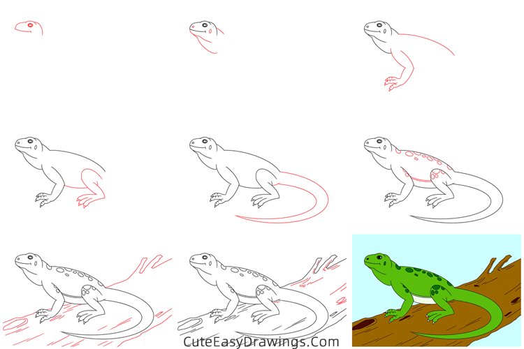 how to draw a lizard - www.cuteeasydrawings.com