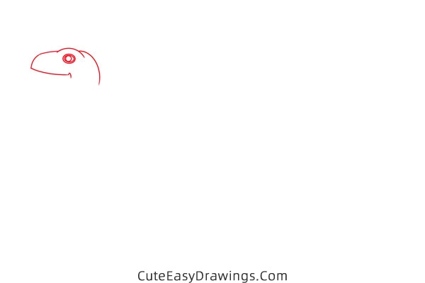 how to draw a lizard - www.cuteeasydrawings.com