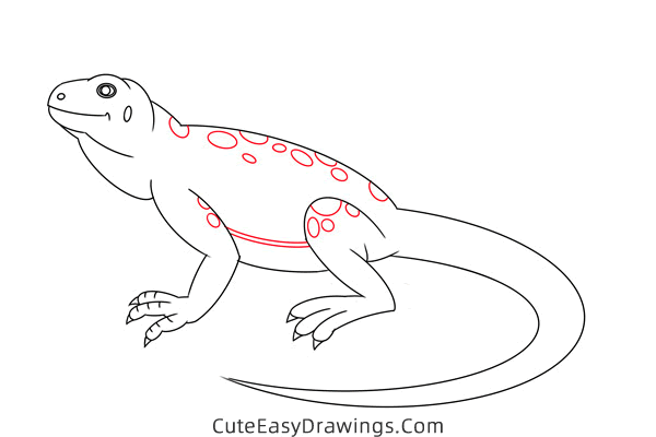 how to draw a lizard - www.cuteeasydrawings.com