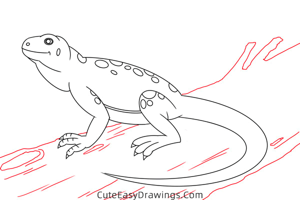 how to draw a lizard - www.cuteeasydrawings.com