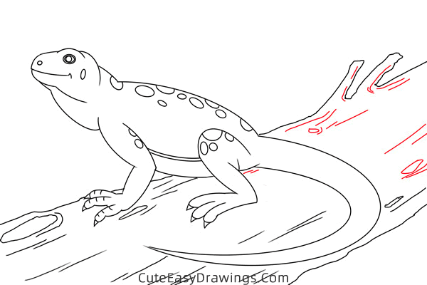 how to draw a lizard - www.cuteeasydrawings.com