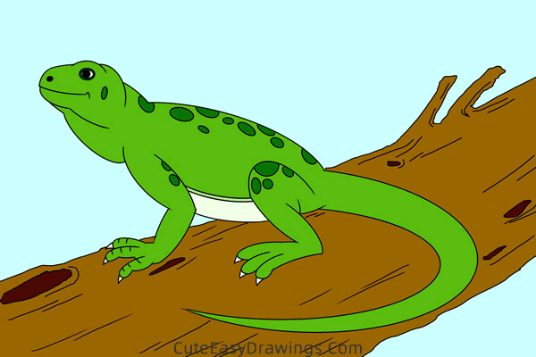 how to draw a lizard - www.cuteeasydrawings.com