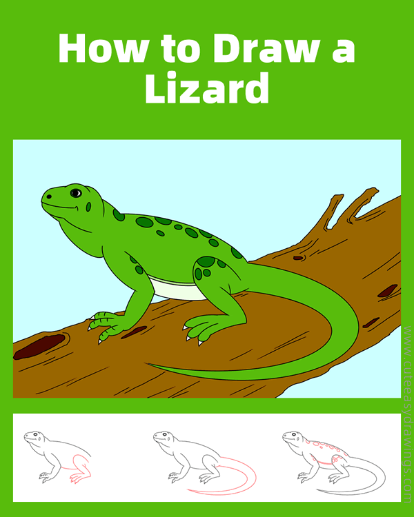 how to draw a lizard - www.cuteeasydrawings.com