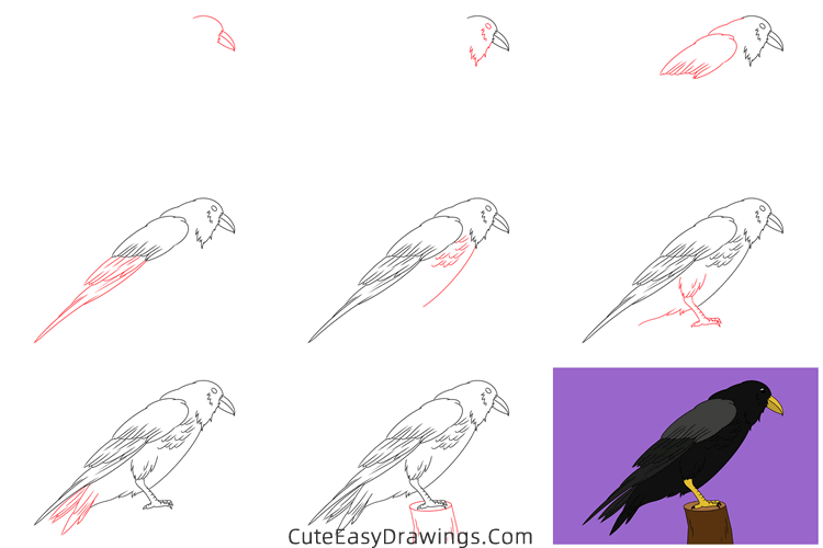 how to draw a crow - www.cuteeasydrawings.com